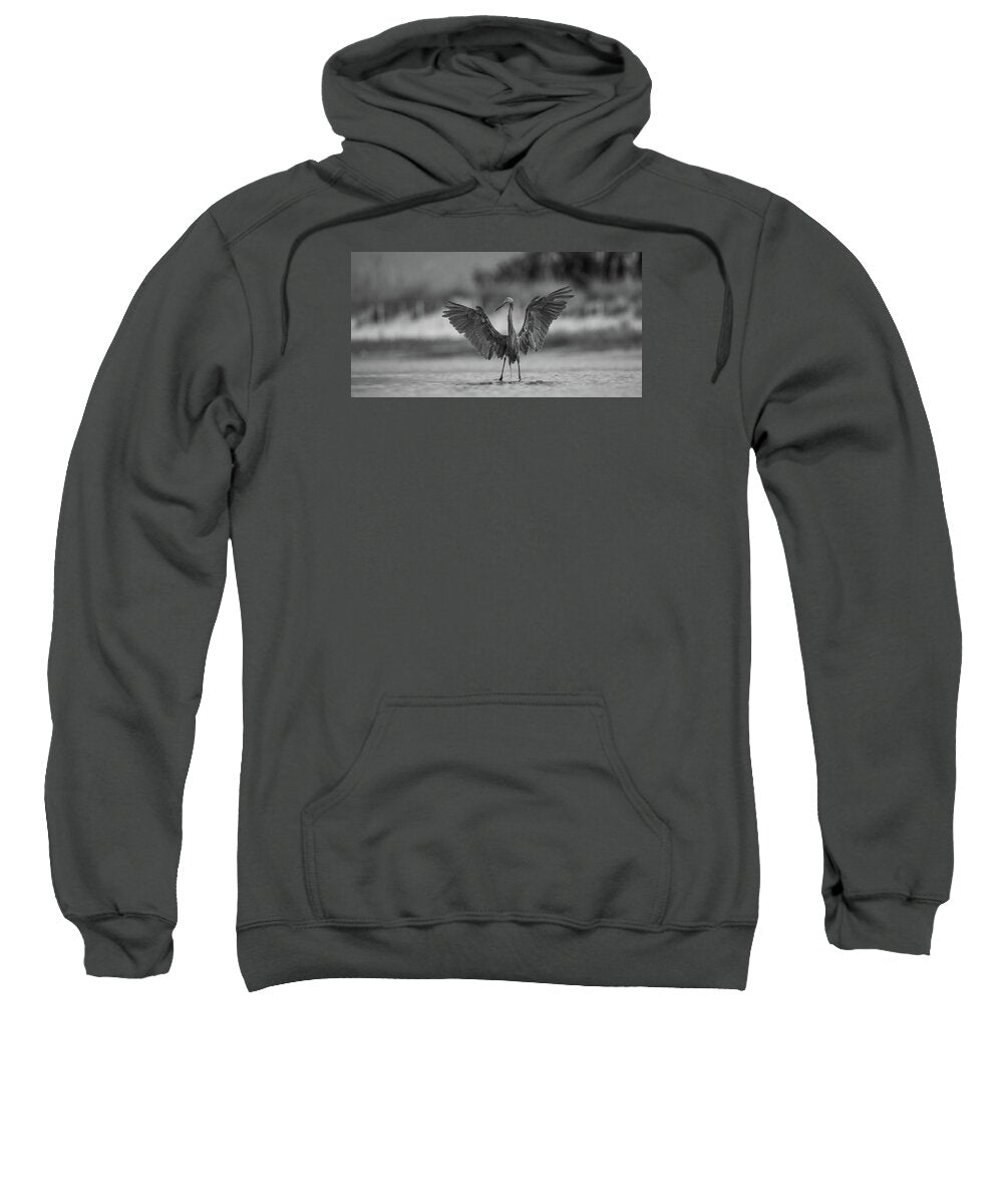 Gray Cathedral - Sweatshirt