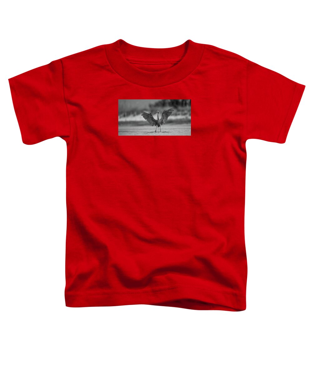Gray Cathedral - Toddler T-Shirt