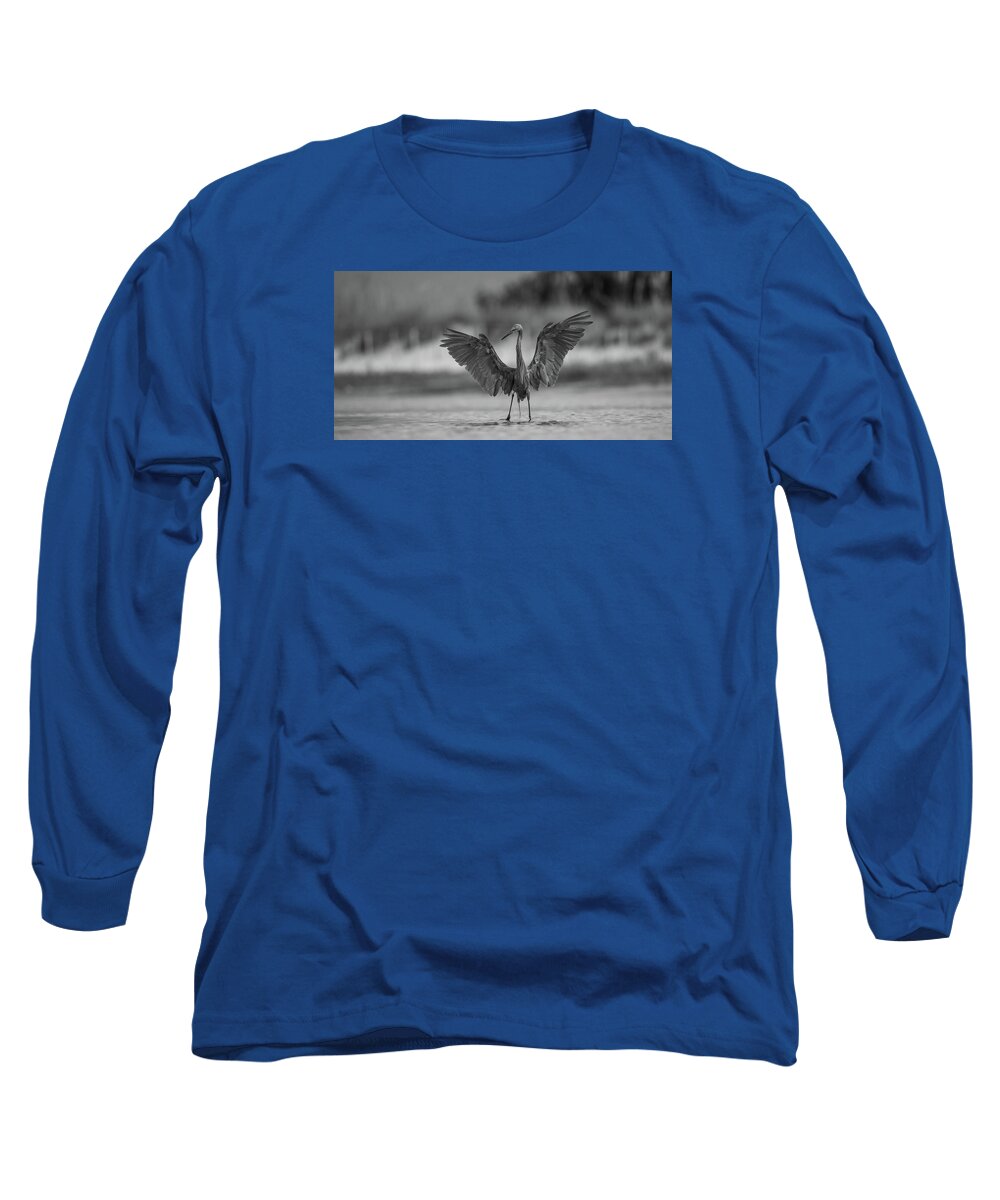 Gray Cathedral - Long Sleeve T-Shirt
