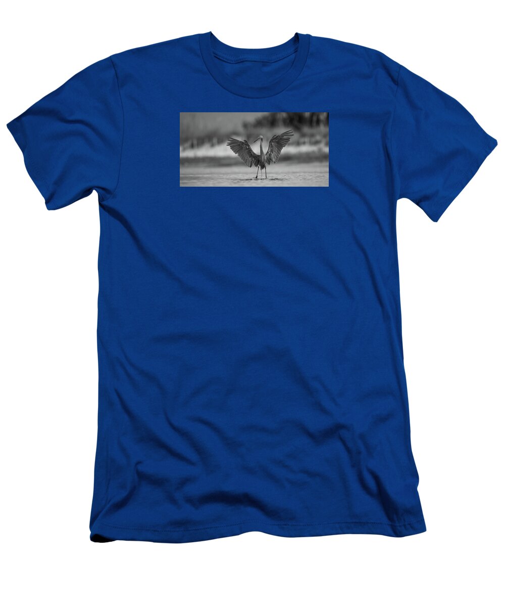 Gray Cathedral - T-Shirt