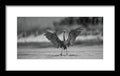 Gray Cathedral - Framed Print