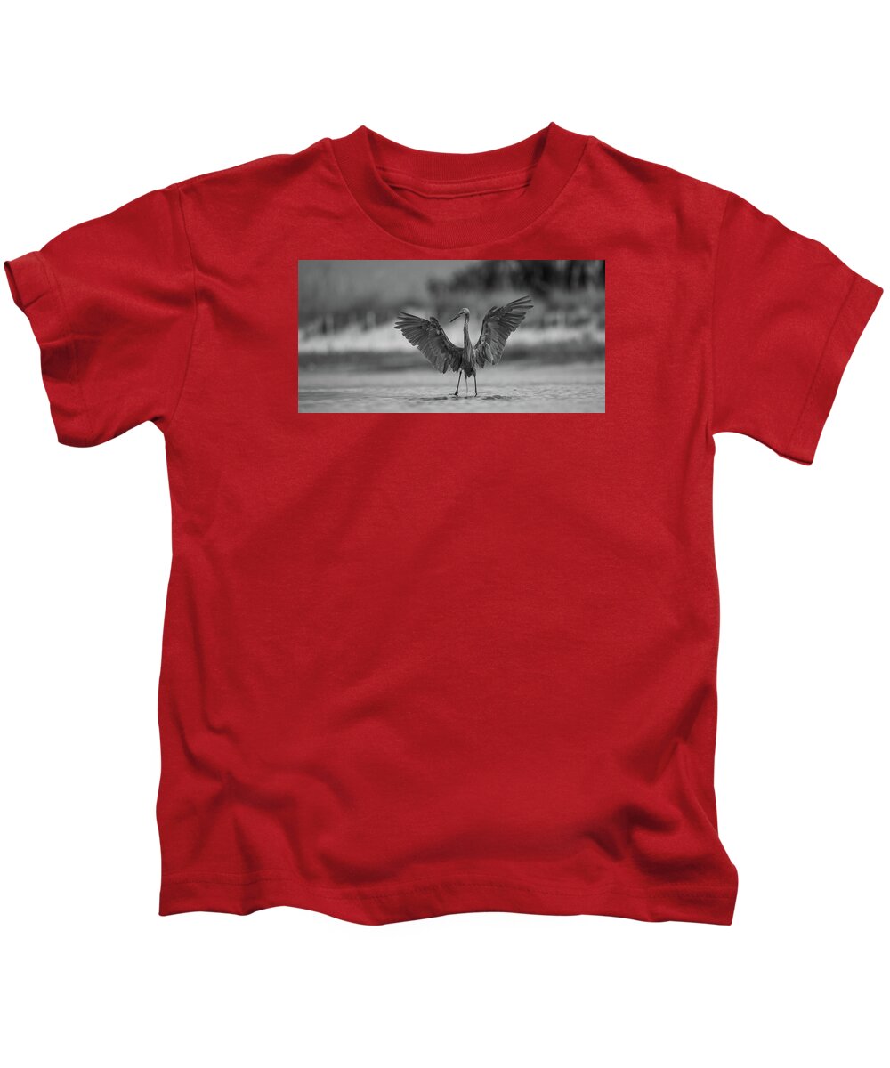 Gray Cathedral - Kids T-Shirt