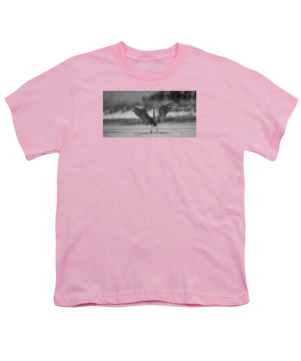 Gray Cathedral - Youth T-Shirt