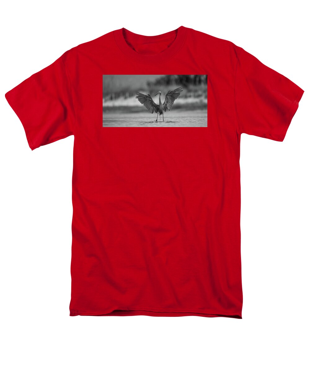 Gray Cathedral - Men's T-Shirt  (Regular Fit)