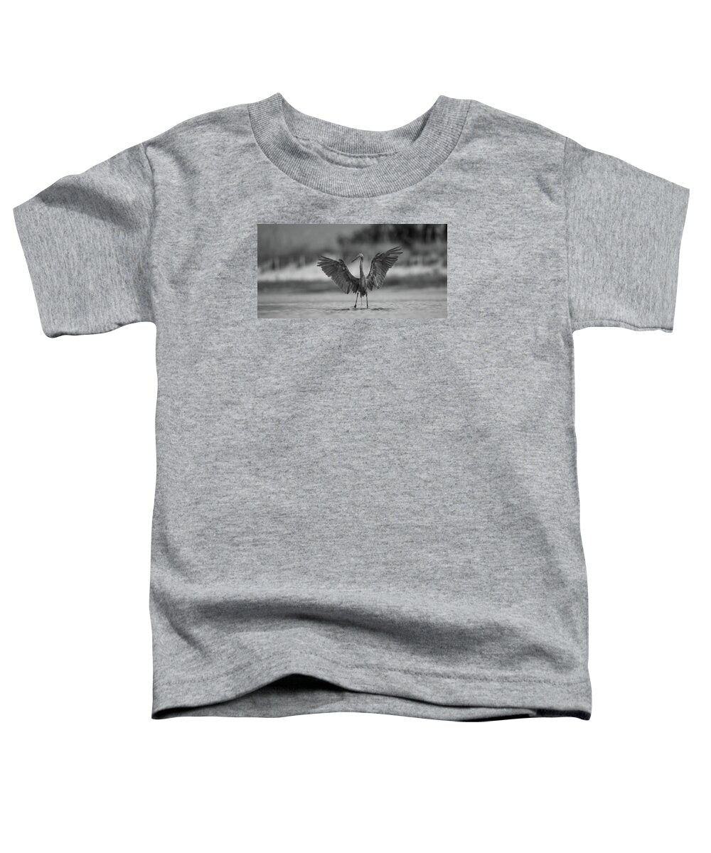 Gray Cathedral - Toddler T-Shirt