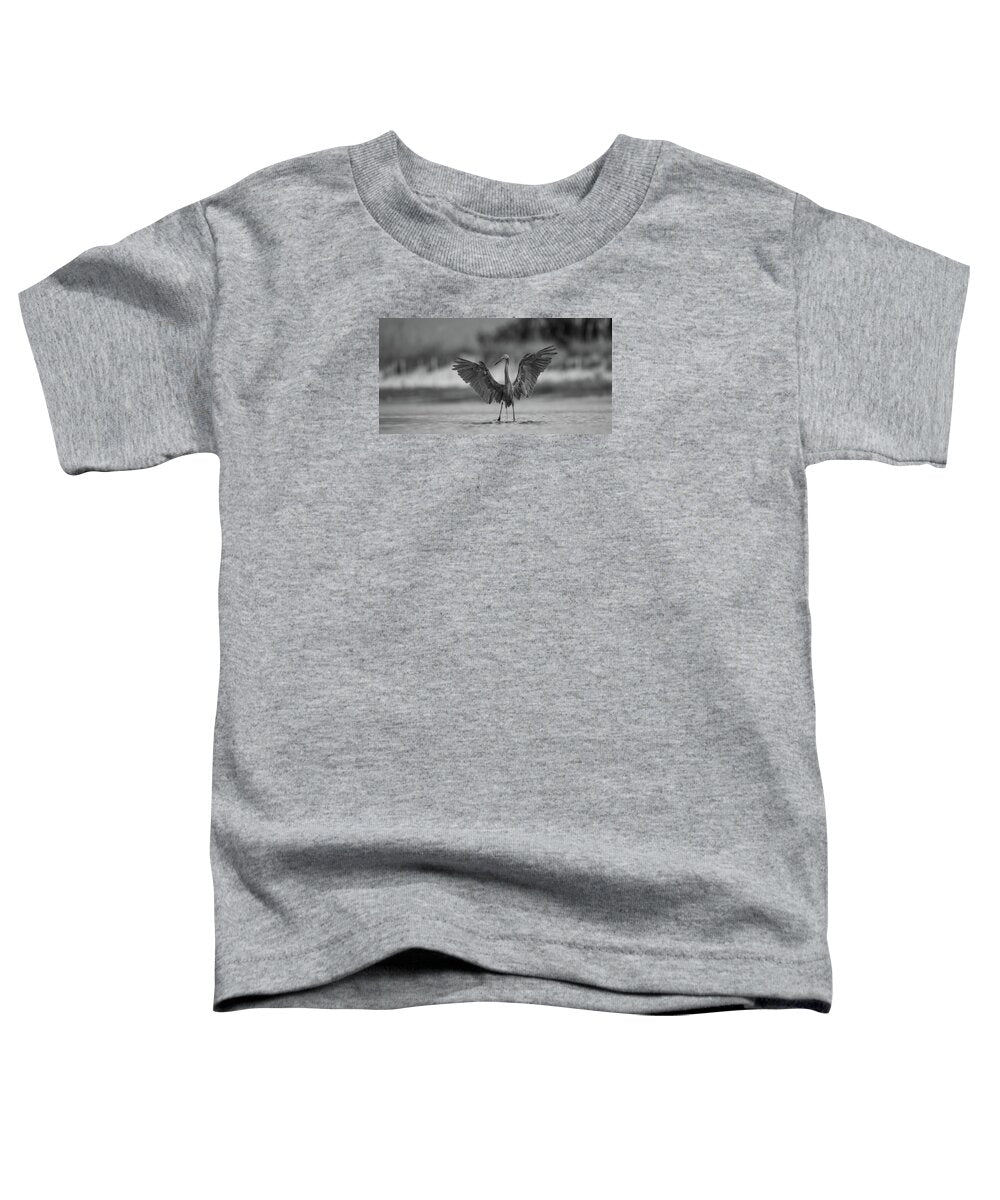 Gray Cathedral - Toddler T-Shirt