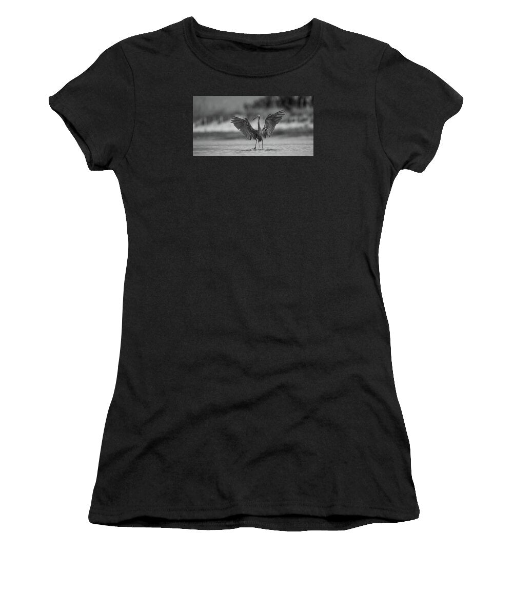 Gray Cathedral - Women's T-Shirt