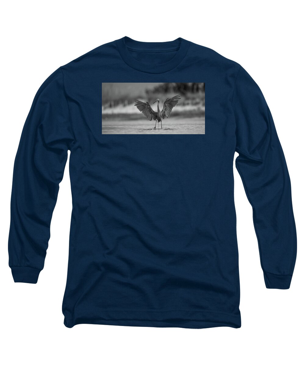Gray Cathedral - Long Sleeve T-Shirt