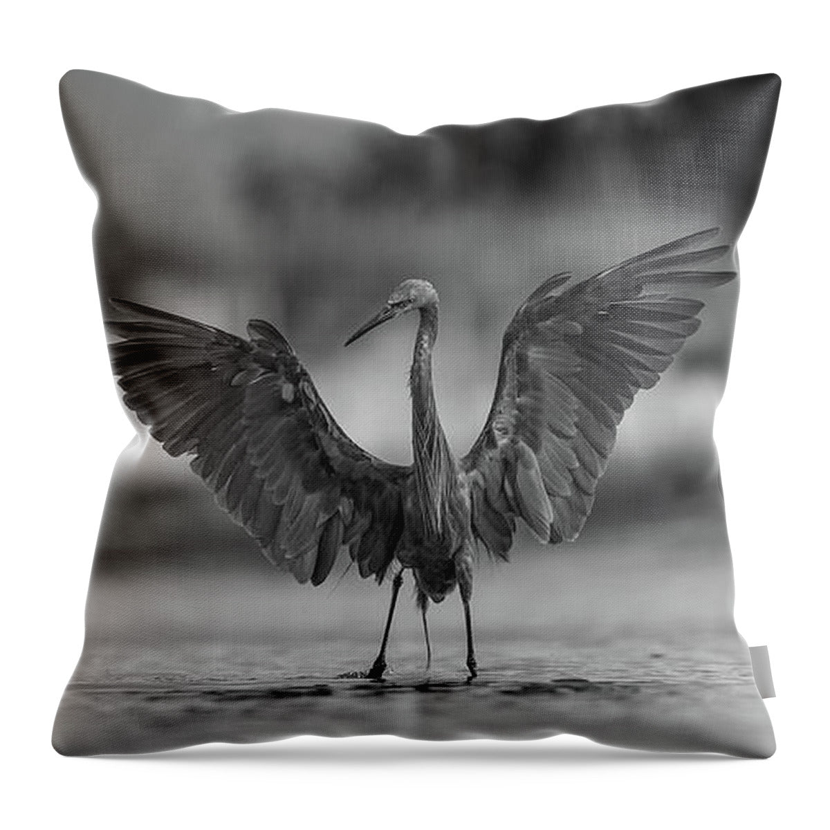 Gray Cathedral - Throw Pillow