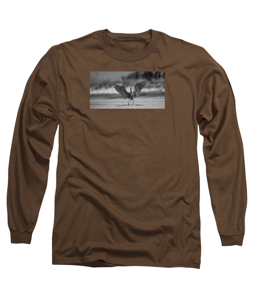 Gray Cathedral - Long Sleeve T-Shirt