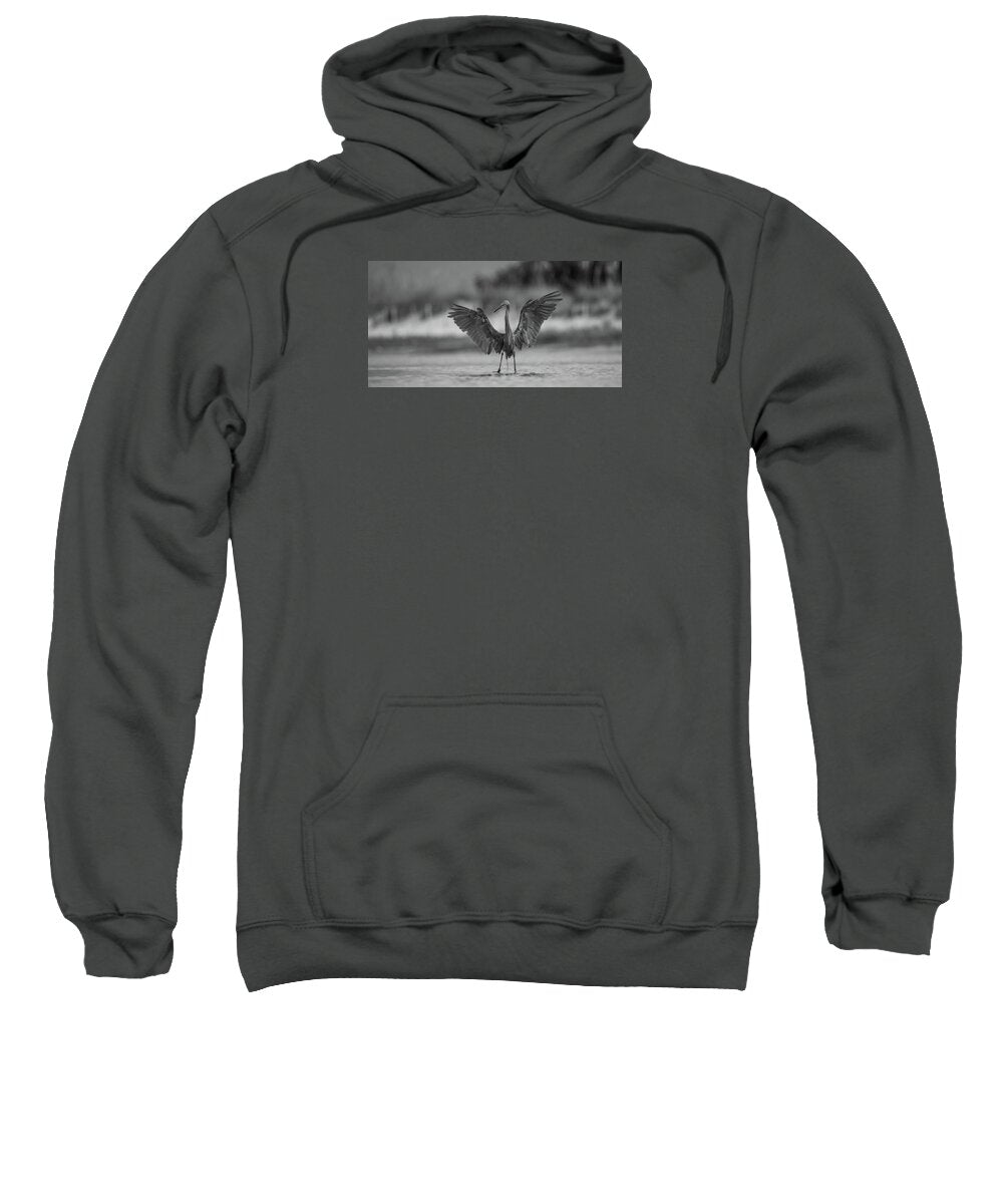 Gray Cathedral - Sweatshirt