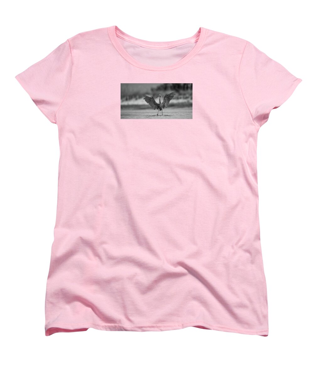 Gray Cathedral - Women's T-Shirt (Standard Fit)