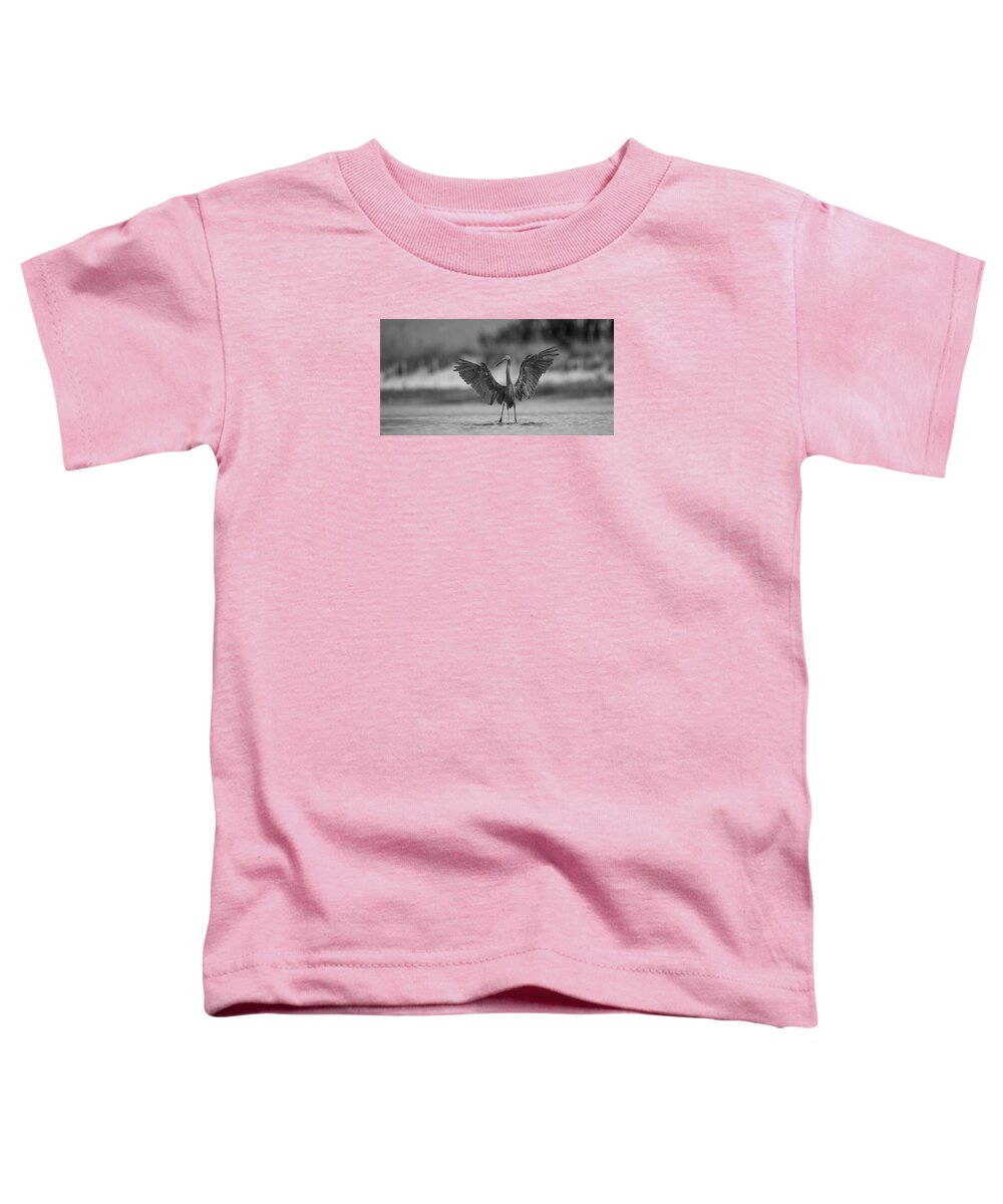 Gray Cathedral - Toddler T-Shirt
