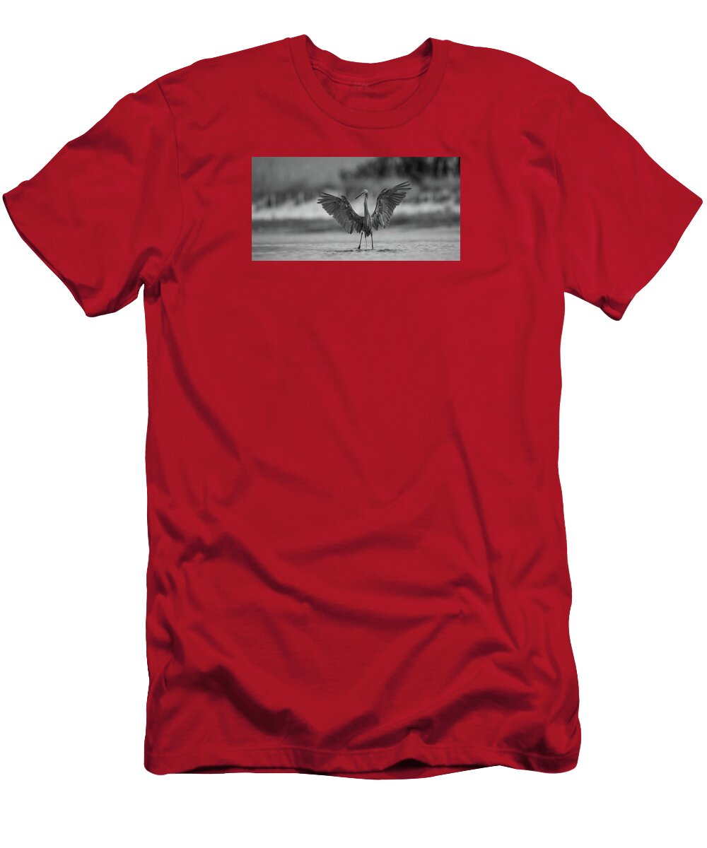 Gray Cathedral - T-Shirt