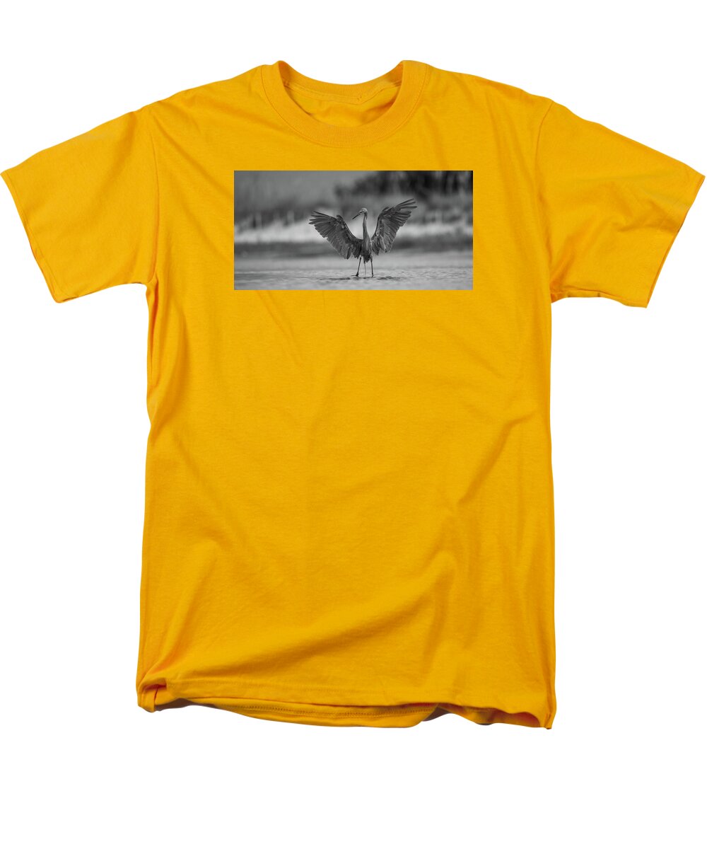 Gray Cathedral - Men's T-Shirt  (Regular Fit)