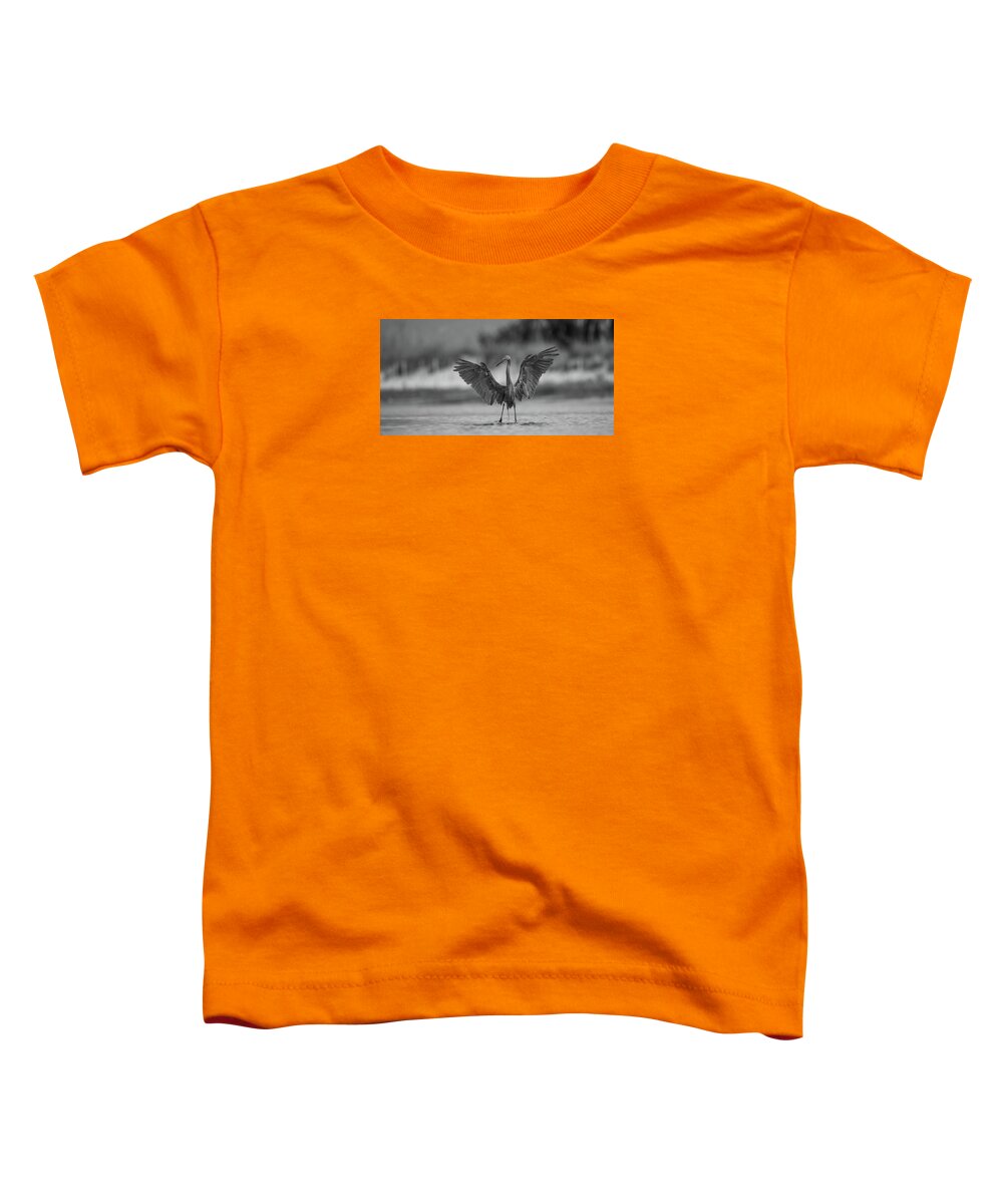 Gray Cathedral - Toddler T-Shirt