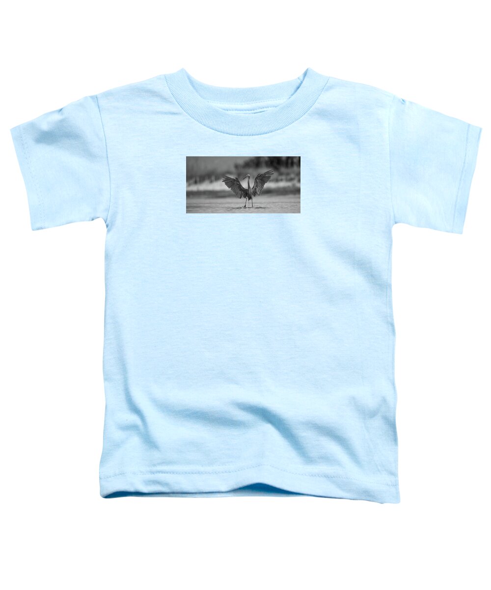 Gray Cathedral - Toddler T-Shirt
