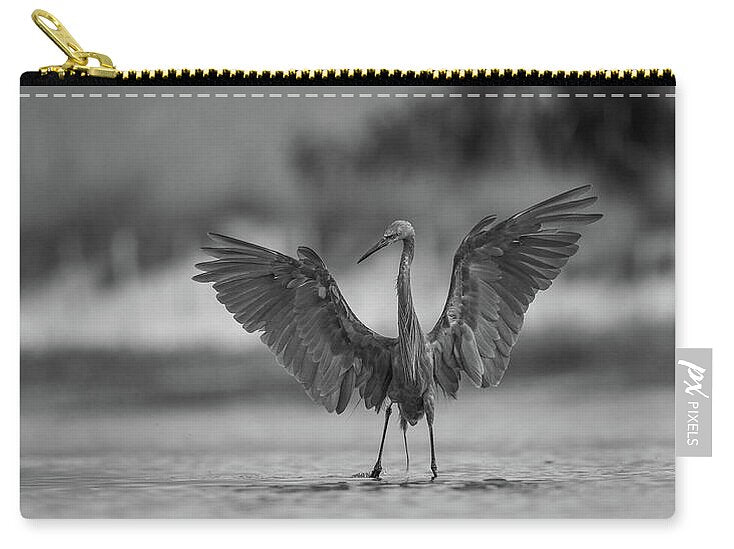 Gray Cathedral - Zip Pouch