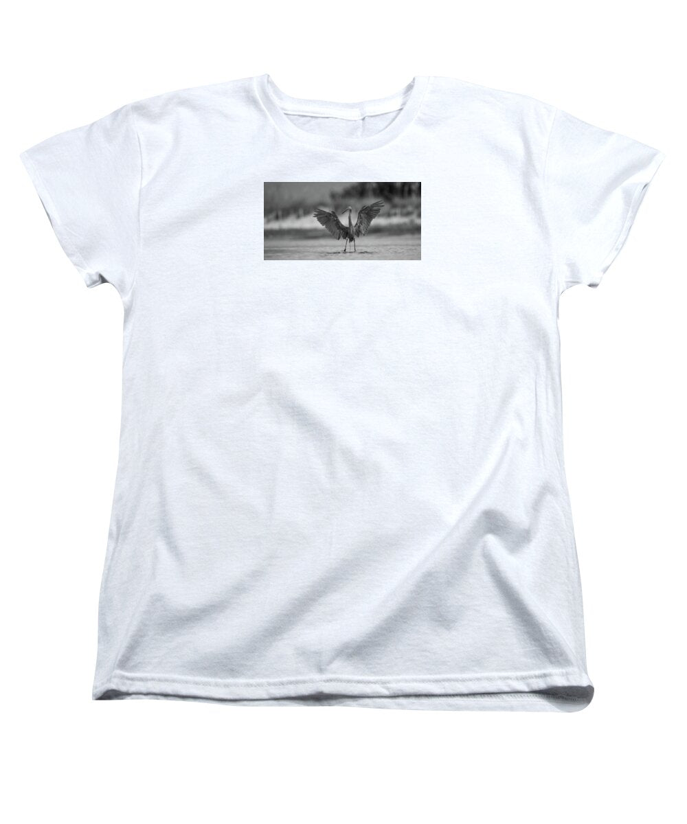 Gray Cathedral - Women's T-Shirt (Standard Fit)