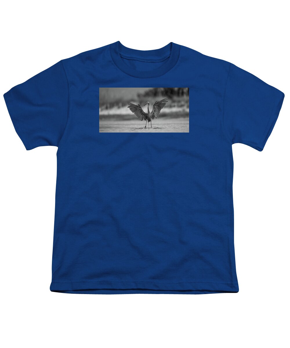 Gray Cathedral - Youth T-Shirt