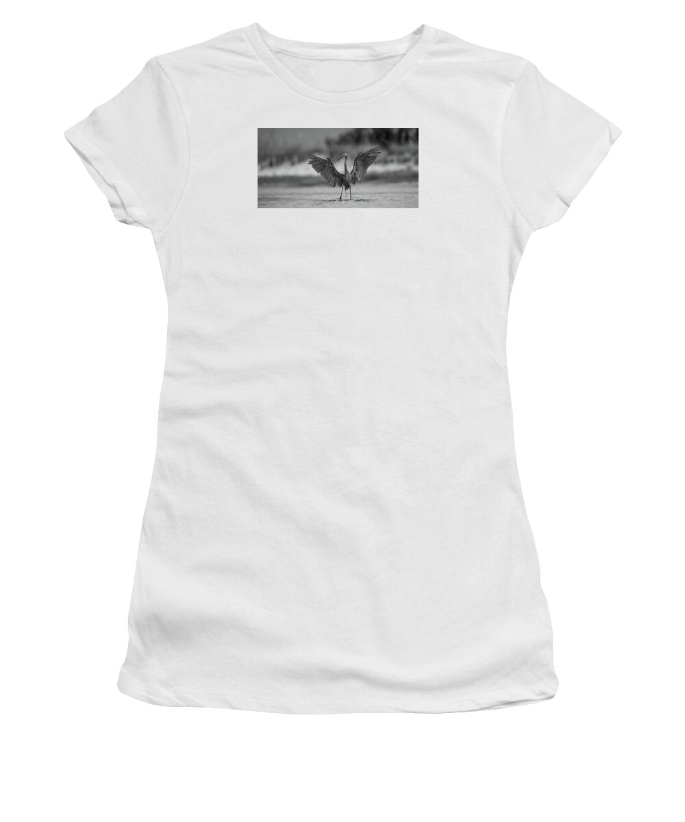 Gray Cathedral - Women's T-Shirt