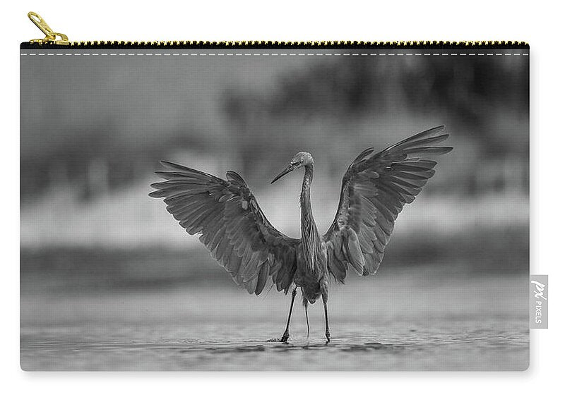 Gray Cathedral - Zip Pouch