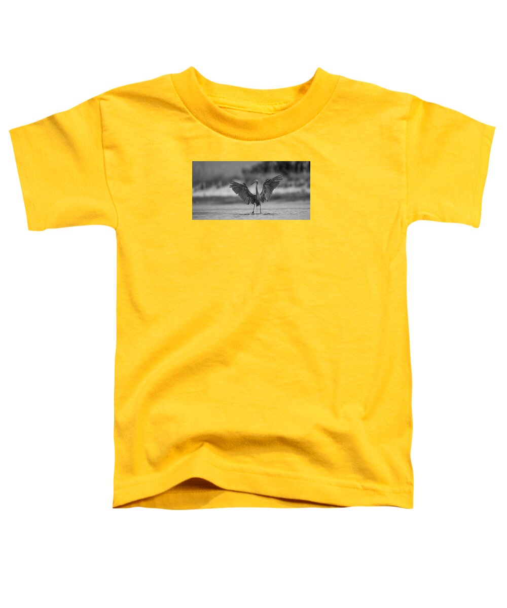 Gray Cathedral - Toddler T-Shirt