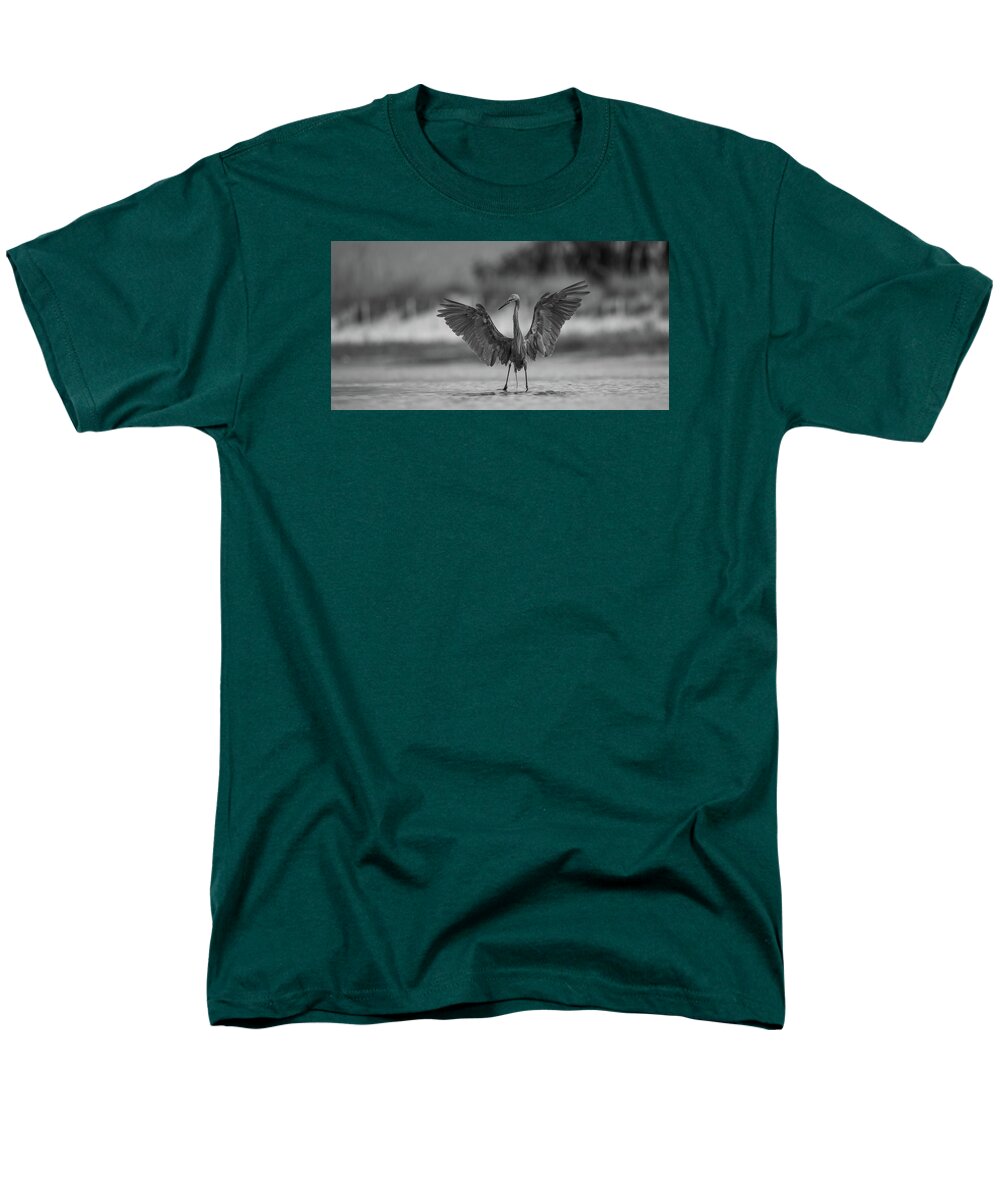 Gray Cathedral - Men's T-Shirt  (Regular Fit)