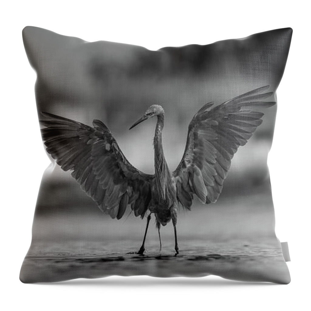 Gray Cathedral - Throw Pillow