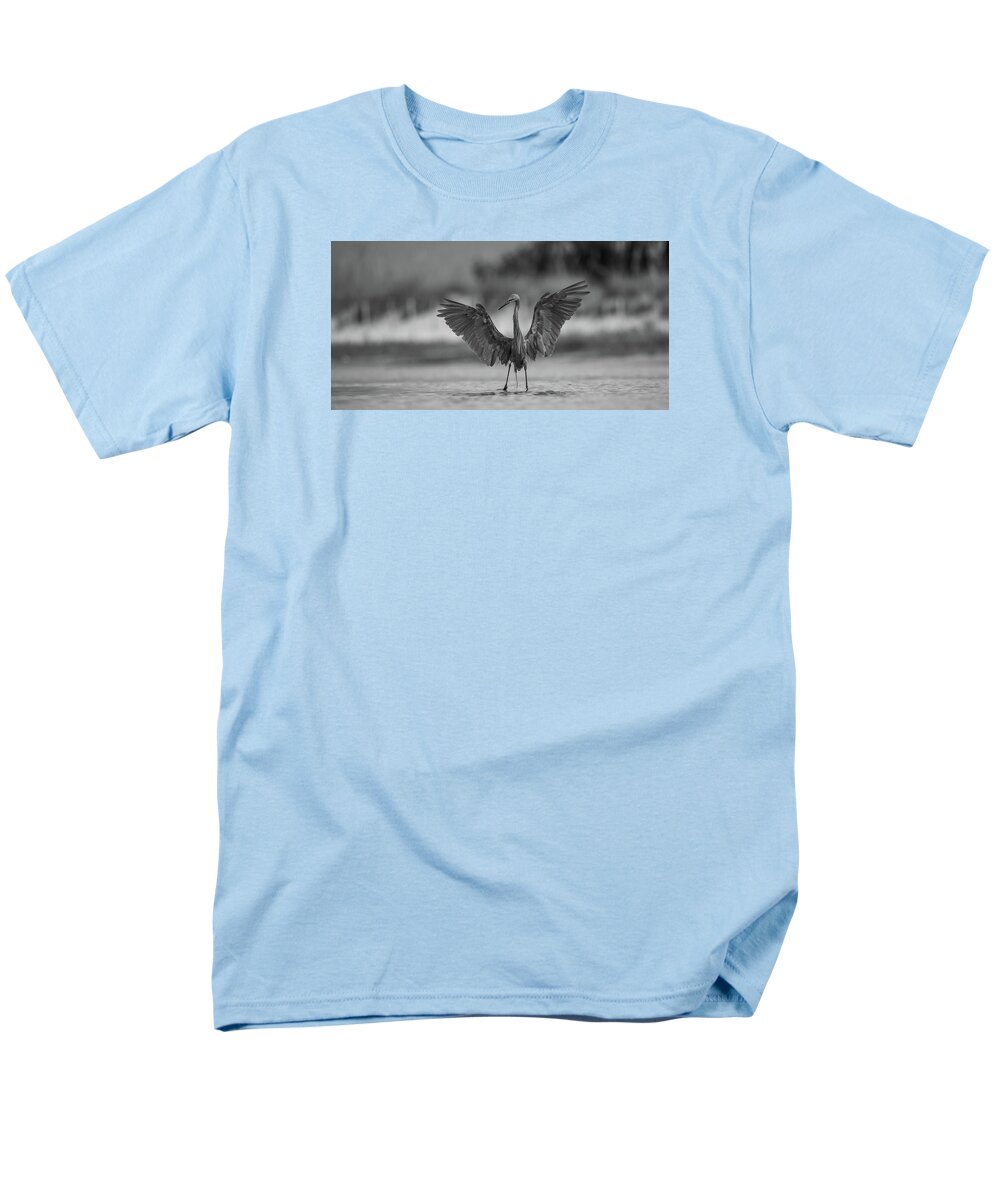 Gray Cathedral - Men's T-Shirt  (Regular Fit)