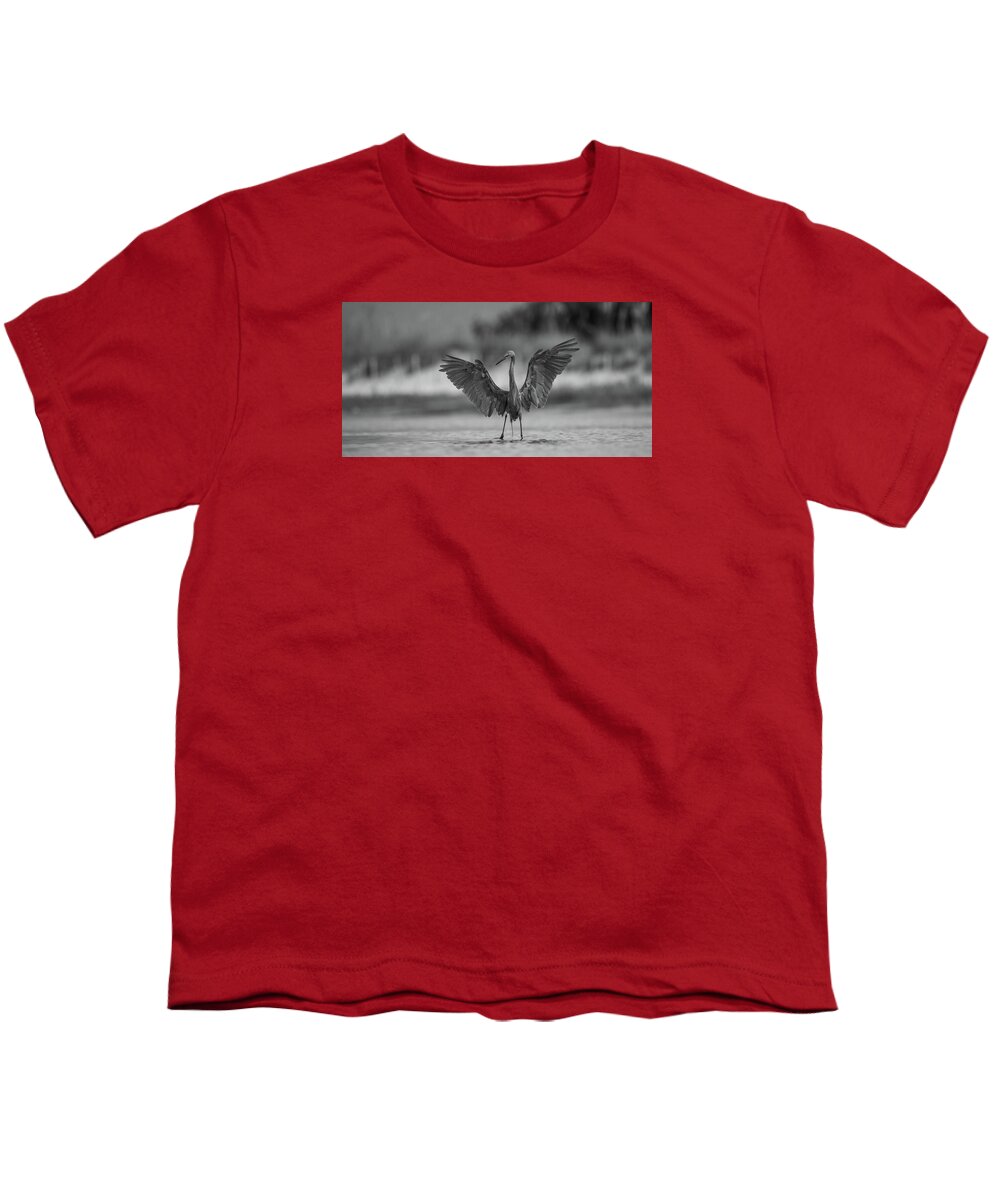 Gray Cathedral - Youth T-Shirt