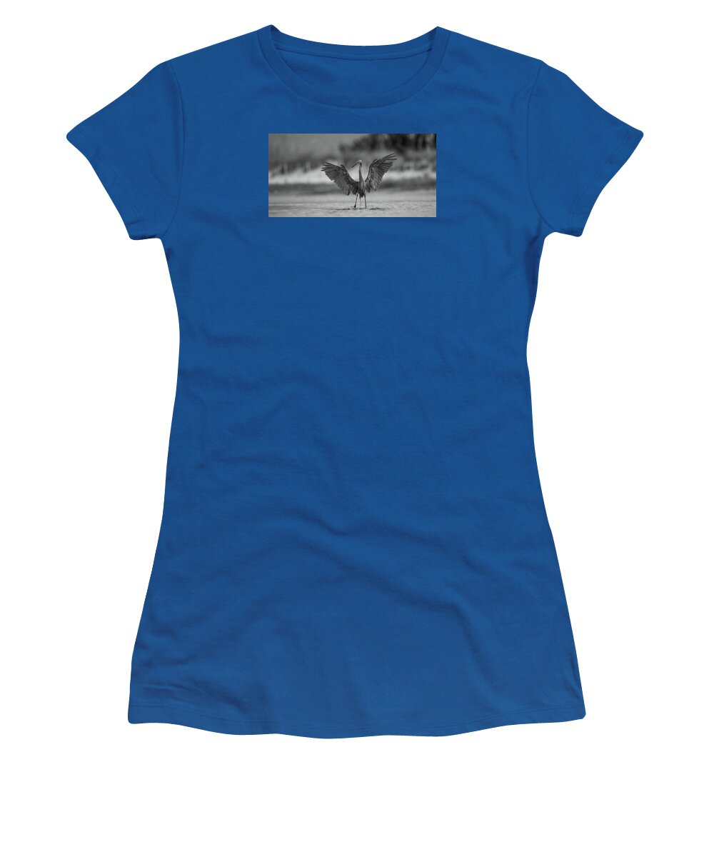 Gray Cathedral - Women's T-Shirt