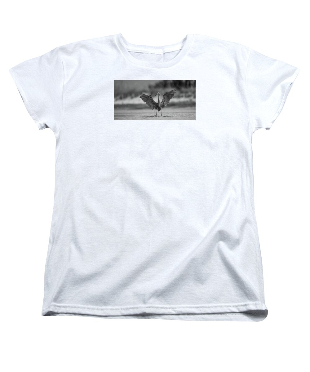 Gray Cathedral - Women's T-Shirt (Standard Fit)