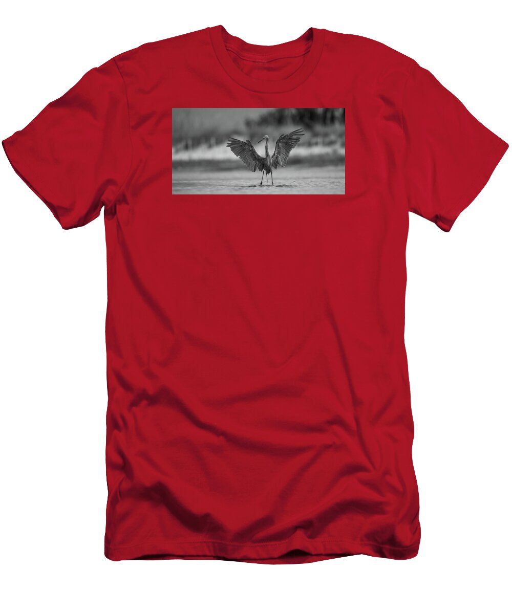 Gray Cathedral - T-Shirt