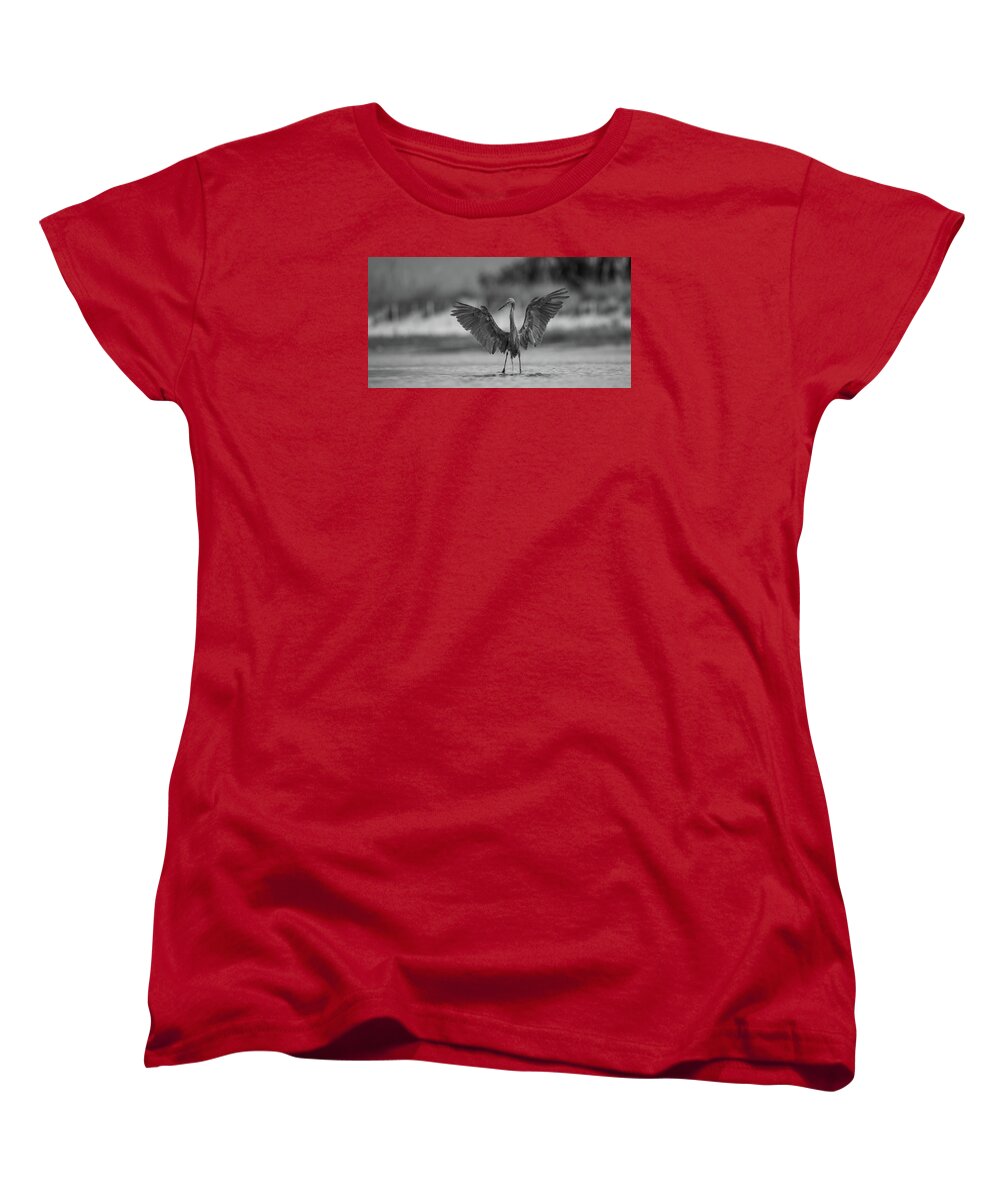 Gray Cathedral - Women's T-Shirt (Standard Fit)