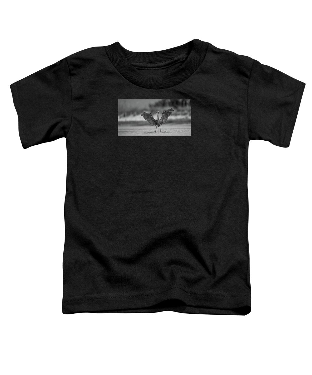 Gray Cathedral - Toddler T-Shirt