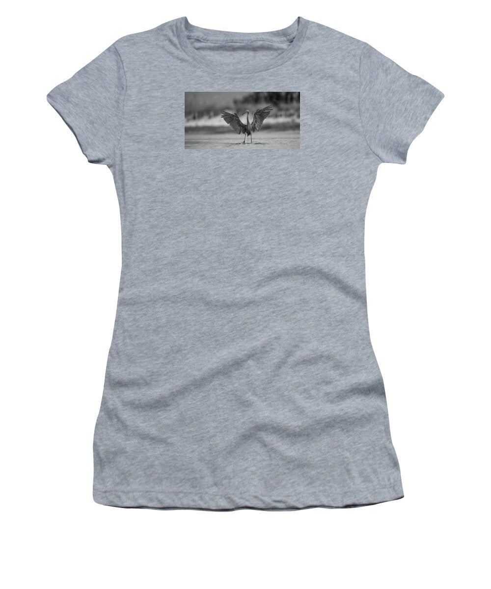 Gray Cathedral - Women's T-Shirt