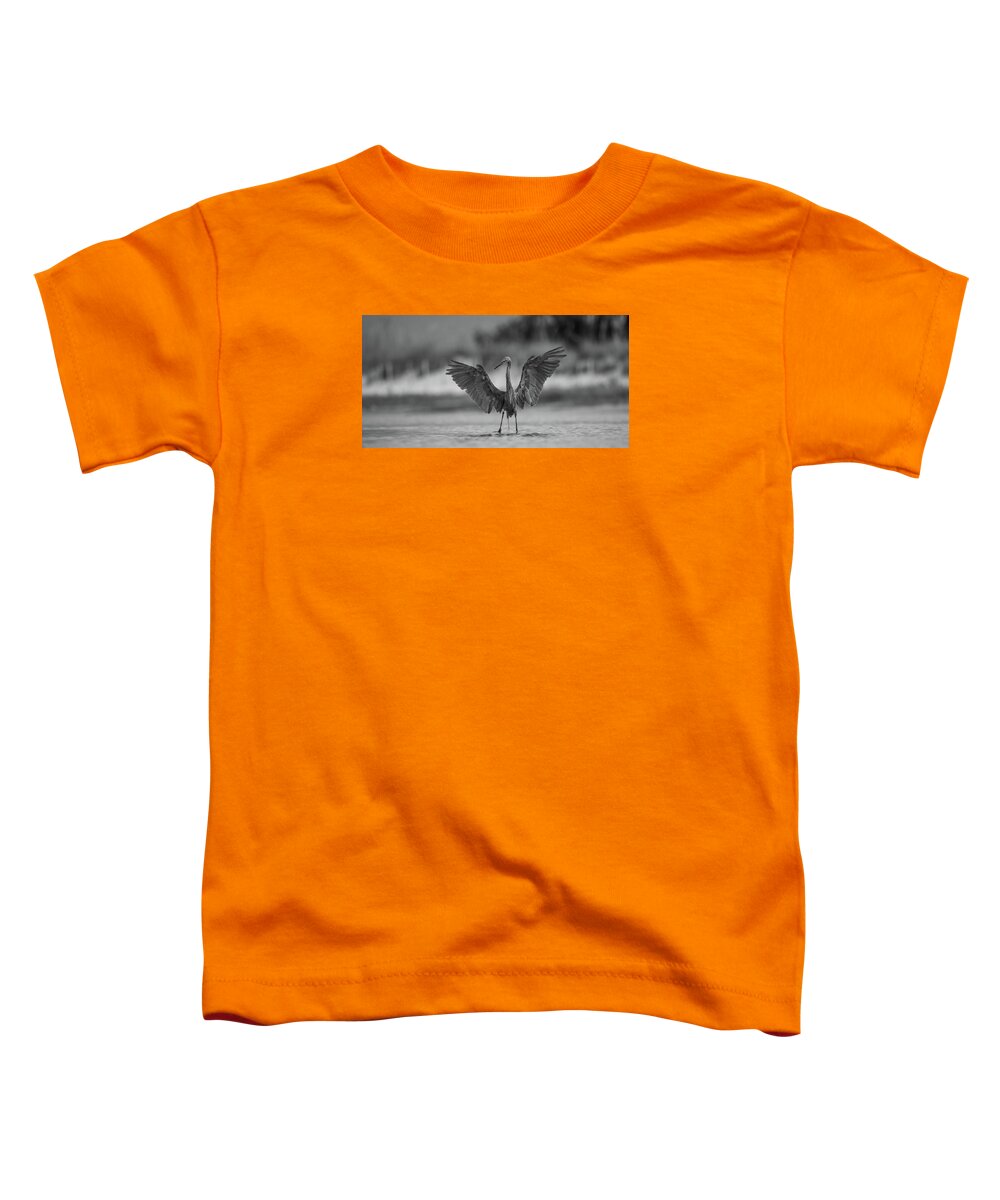 Gray Cathedral - Toddler T-Shirt