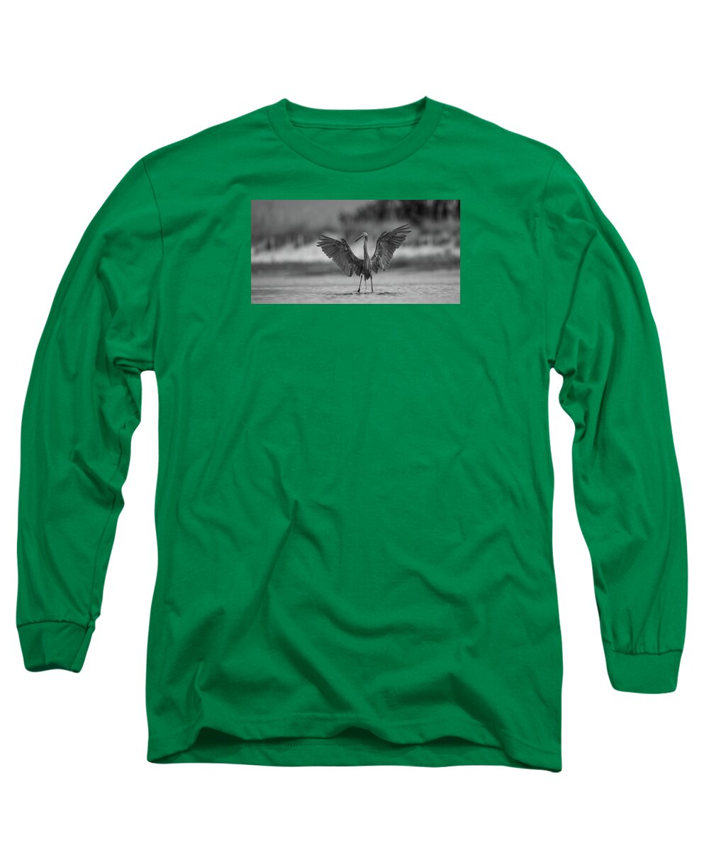 Gray Cathedral - Long Sleeve T-Shirt
