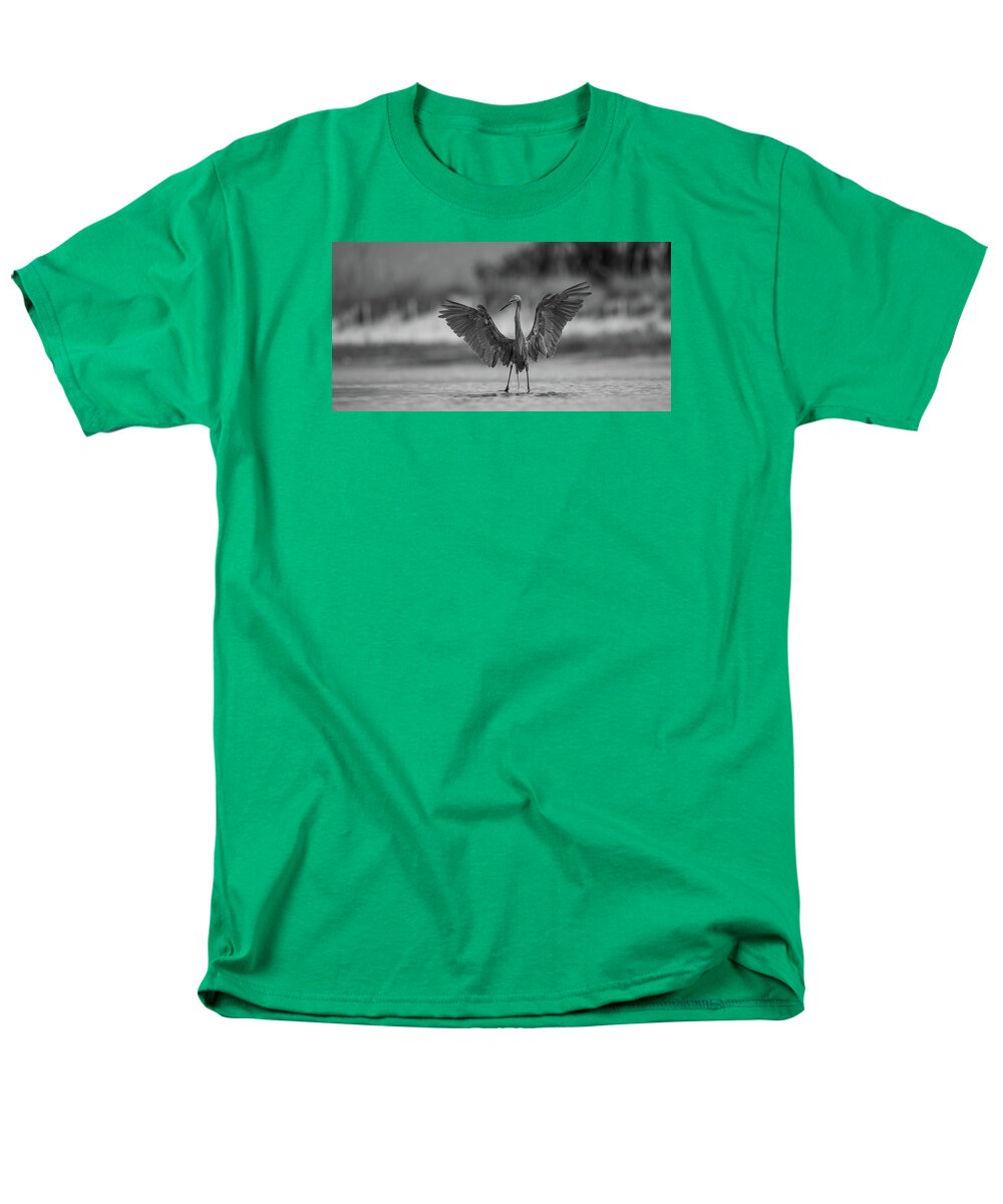 Gray Cathedral - Men's T-Shirt  (Regular Fit)