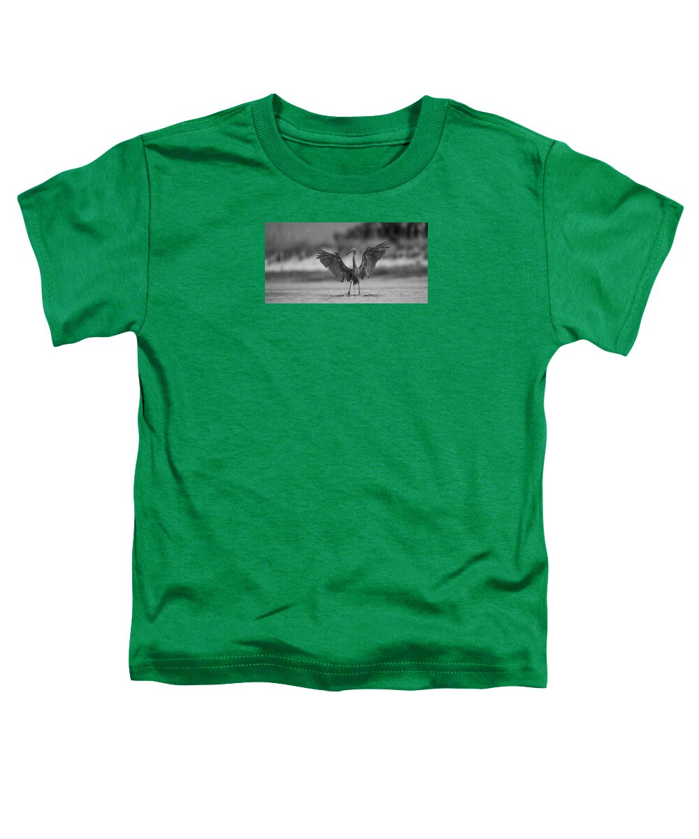 Gray Cathedral - Toddler T-Shirt