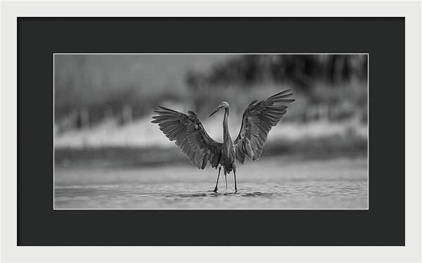 Gray Cathedral - Framed Print