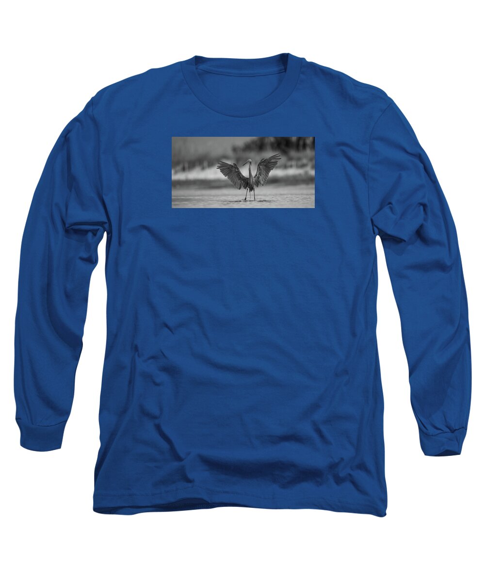 Gray Cathedral - Long Sleeve T-Shirt