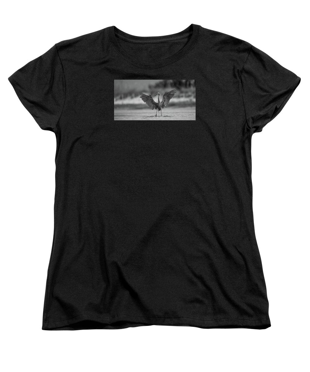 Gray Cathedral - Women's T-Shirt (Standard Fit)
