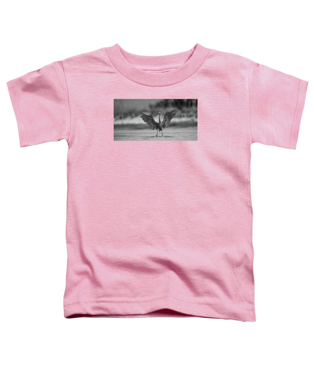 Gray Cathedral - Toddler T-Shirt