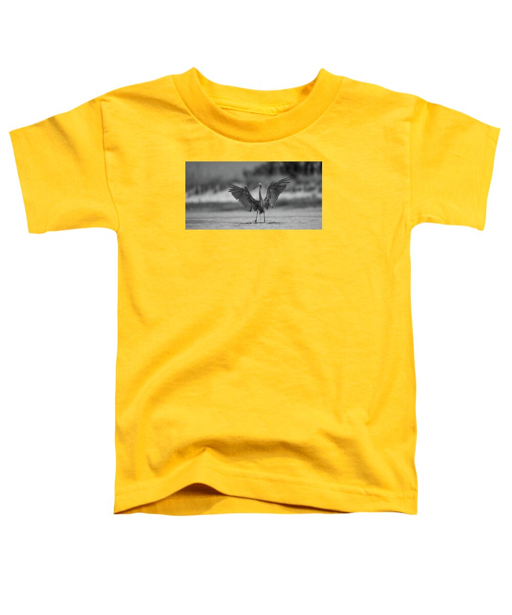 Gray Cathedral - Toddler T-Shirt