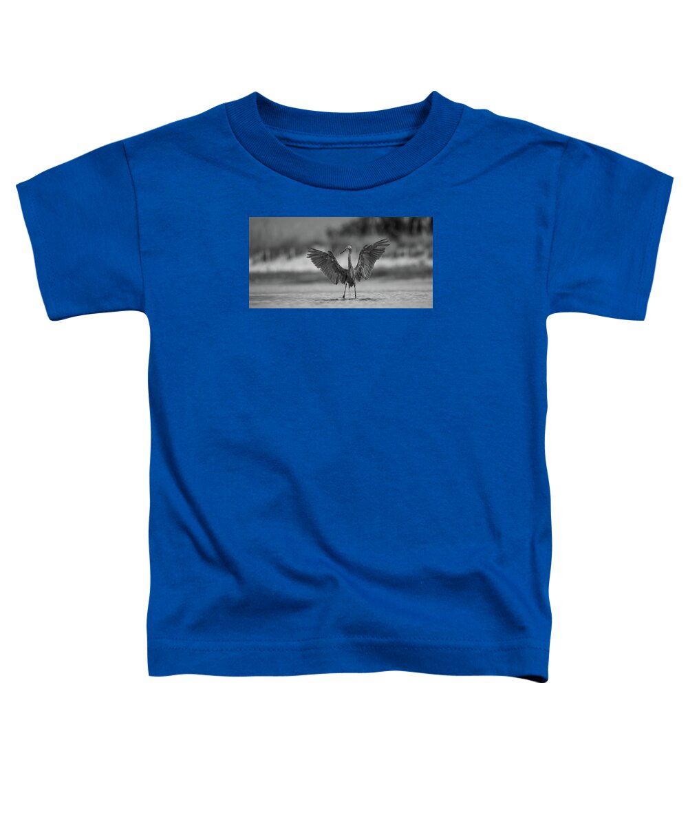 Gray Cathedral - Toddler T-Shirt