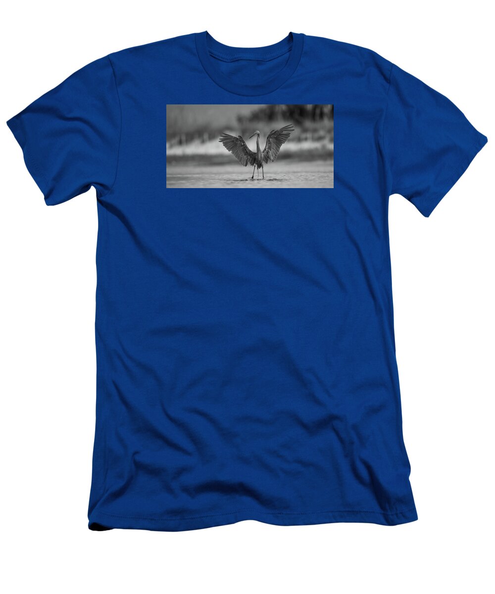 Gray Cathedral - T-Shirt
