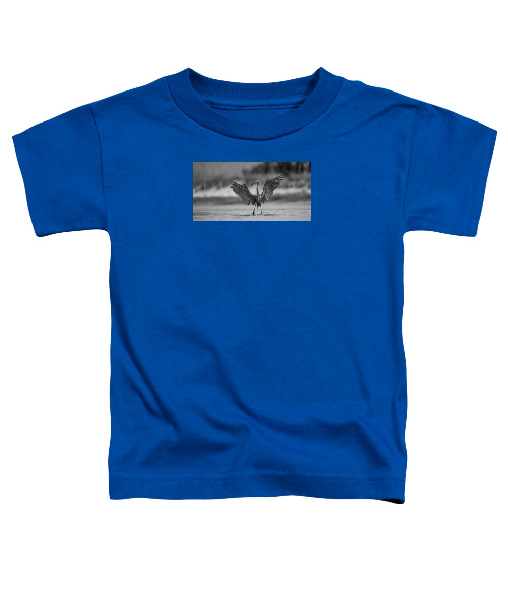 Gray Cathedral - Toddler T-Shirt