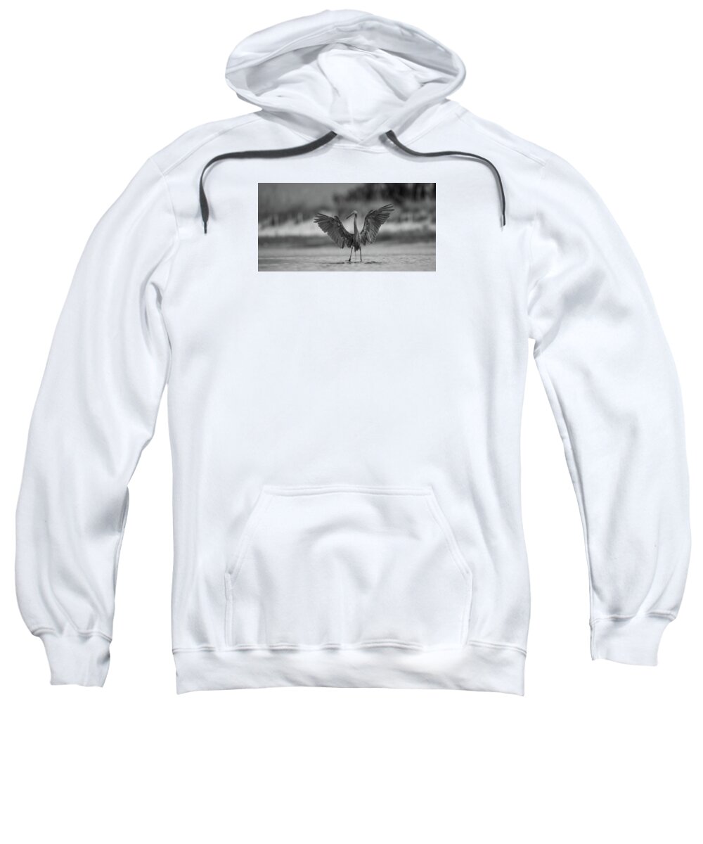 Gray Cathedral - Sweatshirt